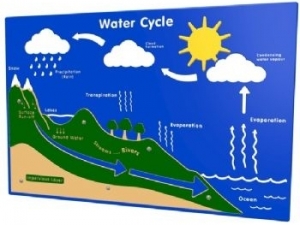 Water Cycle Panel